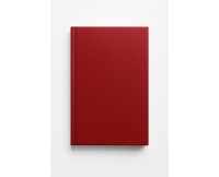 Ежедневник без даты 140х200мм твердая обложка 168 лист Lizy 164 в клетку 1/65