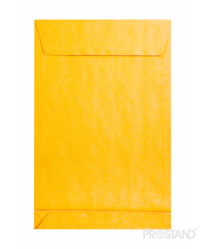 Plic 250x353 B4 craft siliconic cu burduf 5cm