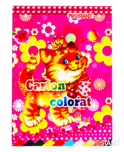 Carton colorat 8 foi A4 Prostand TPR 8-250