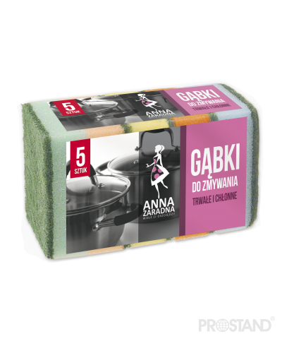 Губка для мытья посуды 5шт PG-5009 AZ