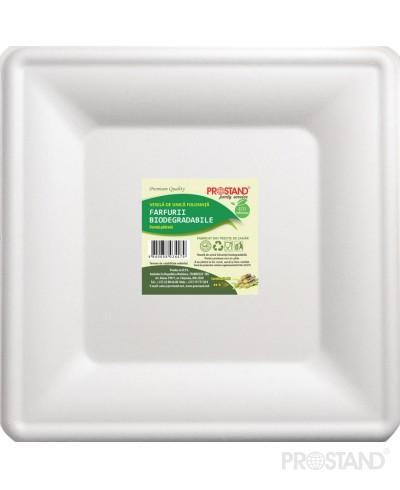 Farfurie biodegradabila din trestie de zahar plata patrata 260mm BIO-B6122-10 1/50