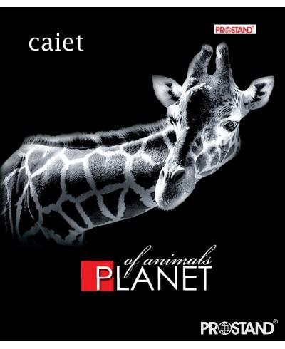 Тетрадь 48л. Prostand художественная обложка TPR 48 -TC 1/12/192